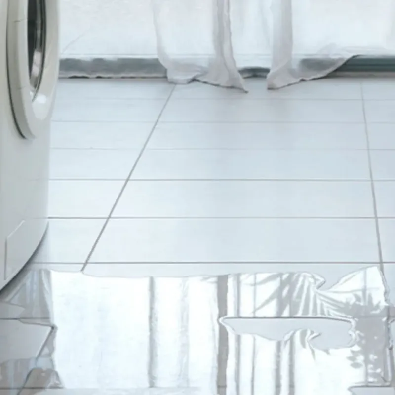 Appliance Leak Cleanup in Raleigh Hills, OR